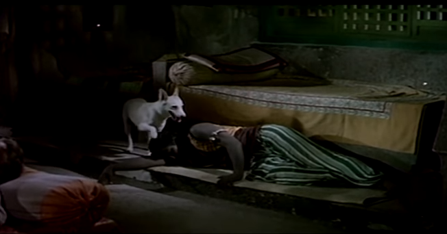 Bollywood Film